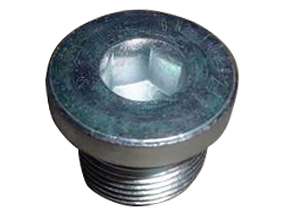 BUJAO ROSCADO VW CONSTELLATION ONIBUS WORKER VOLKSWAGEN (2R0103035A)