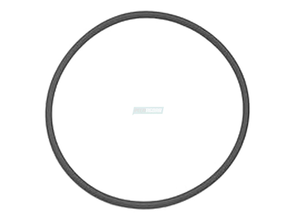 ANEL DE VEDACAO 2R0130139A (2R0130139A.)