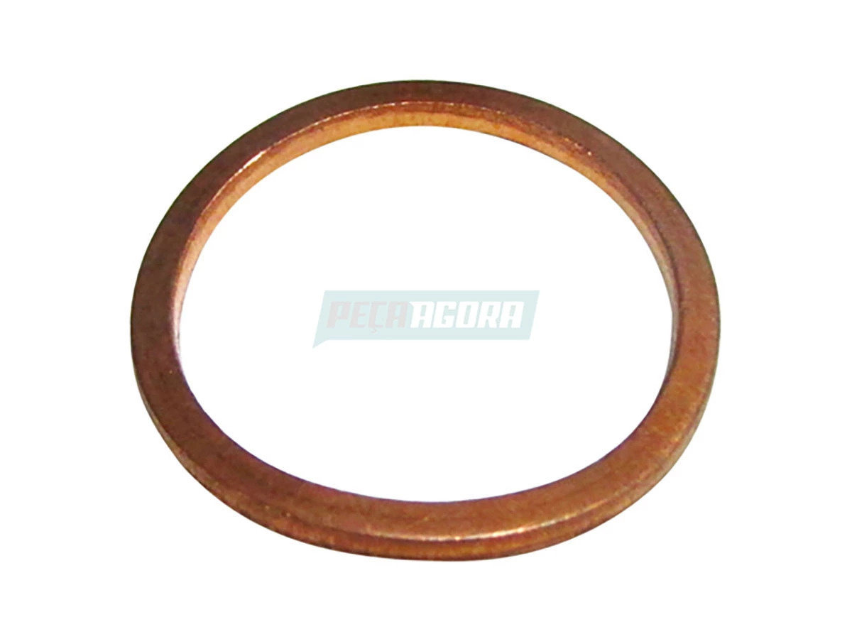 ANEL DE VEDACAO 2R0130139F (2R0130139F)