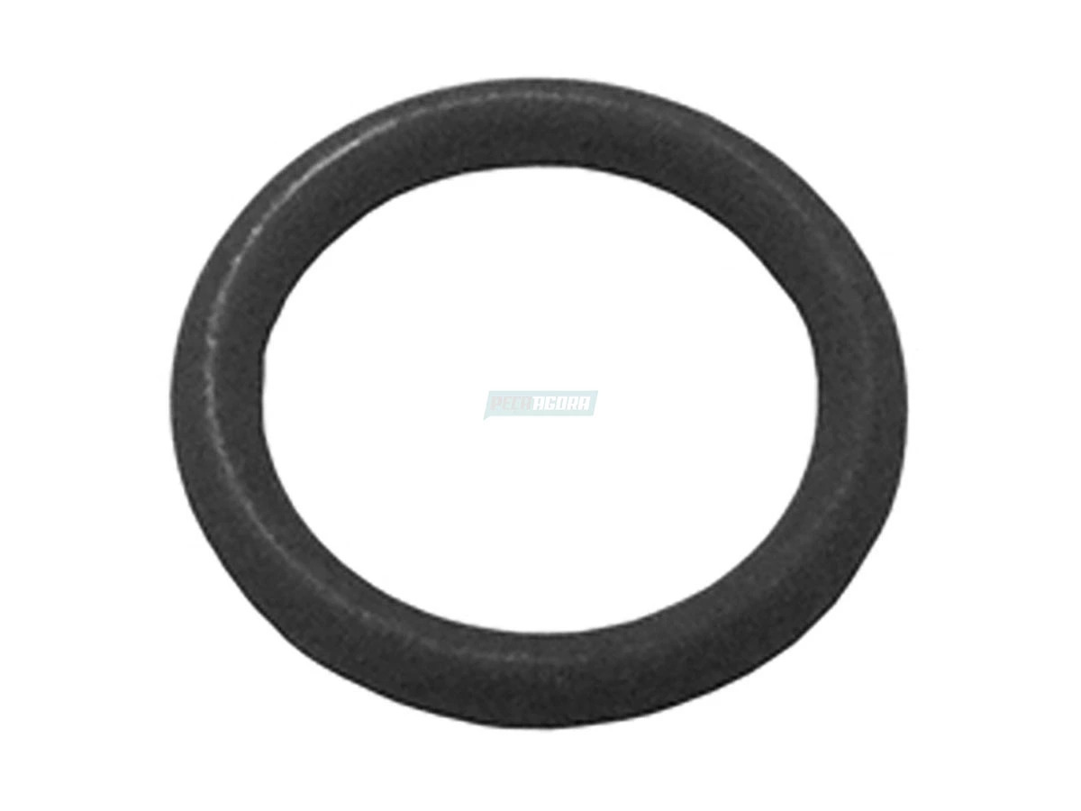 ANEL O RING NIPLE MANGUEIRA FLEXIVEL VW 9150 MICRO ONIBUS PARA COMPRESSOR REMAN 