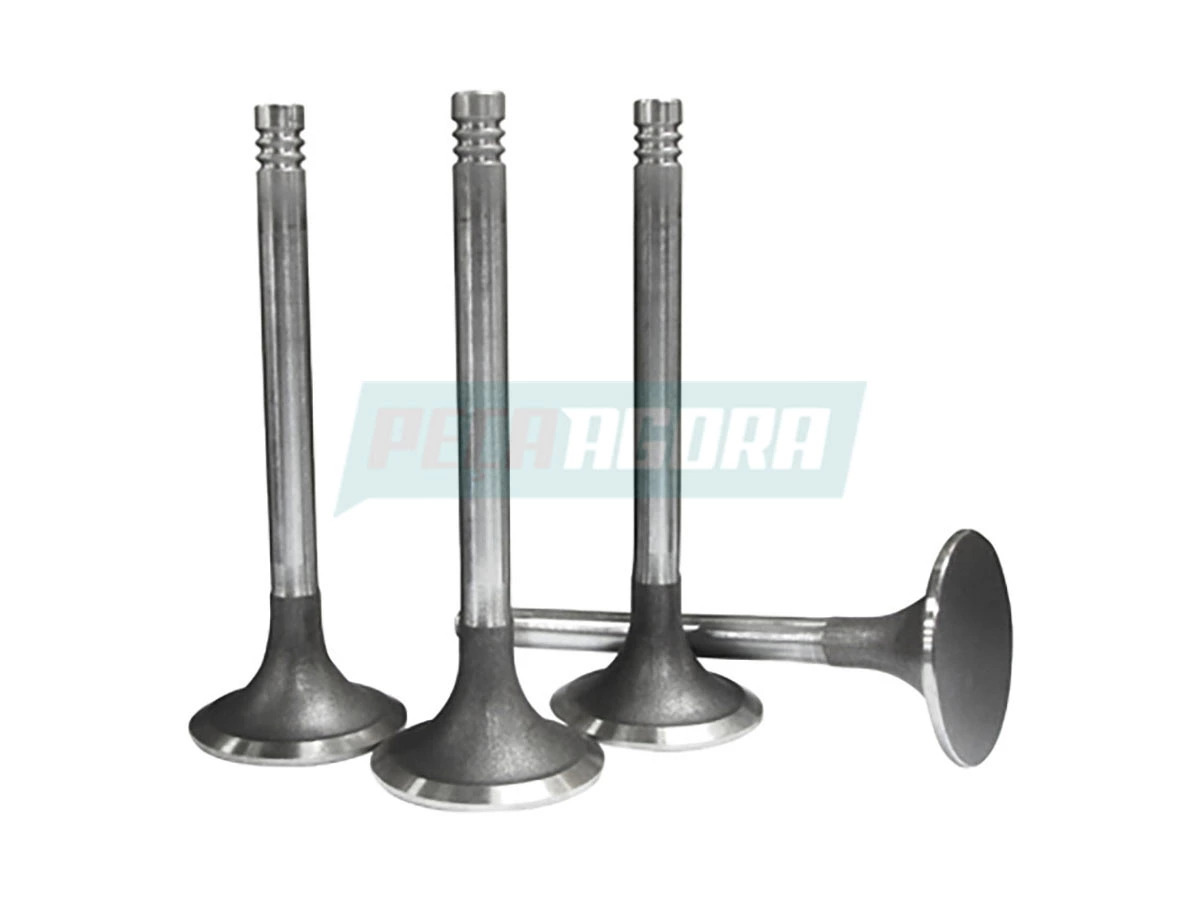 VALVULA ADMISSAO (2RB109601.)