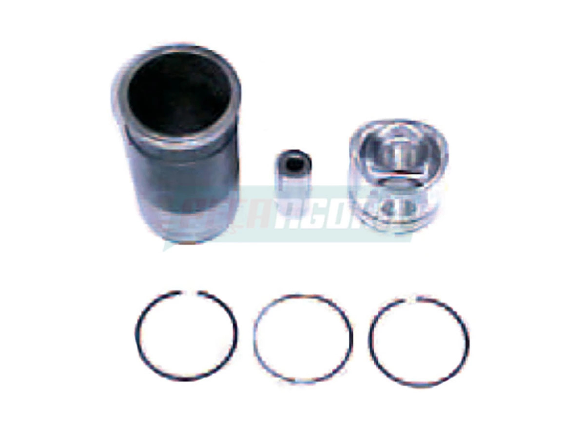 KIT CILINDRO MOTOR MWM X10 VW 13150 13180 15180 MOTOR MWM X10 EURO 3 PARA IVECO 