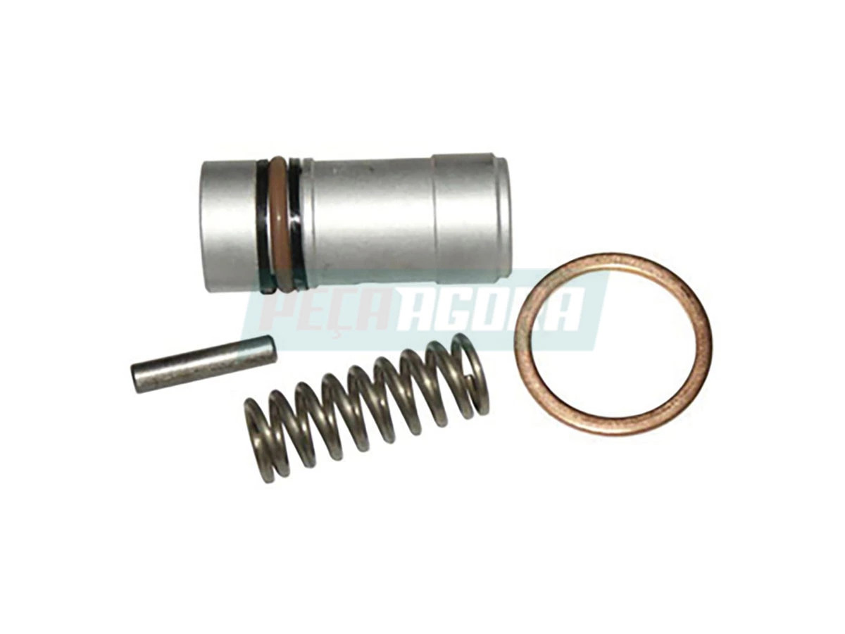 REPARO DESCARREGADOR COMPRESSOR LK 38 (2RG145733-QA)