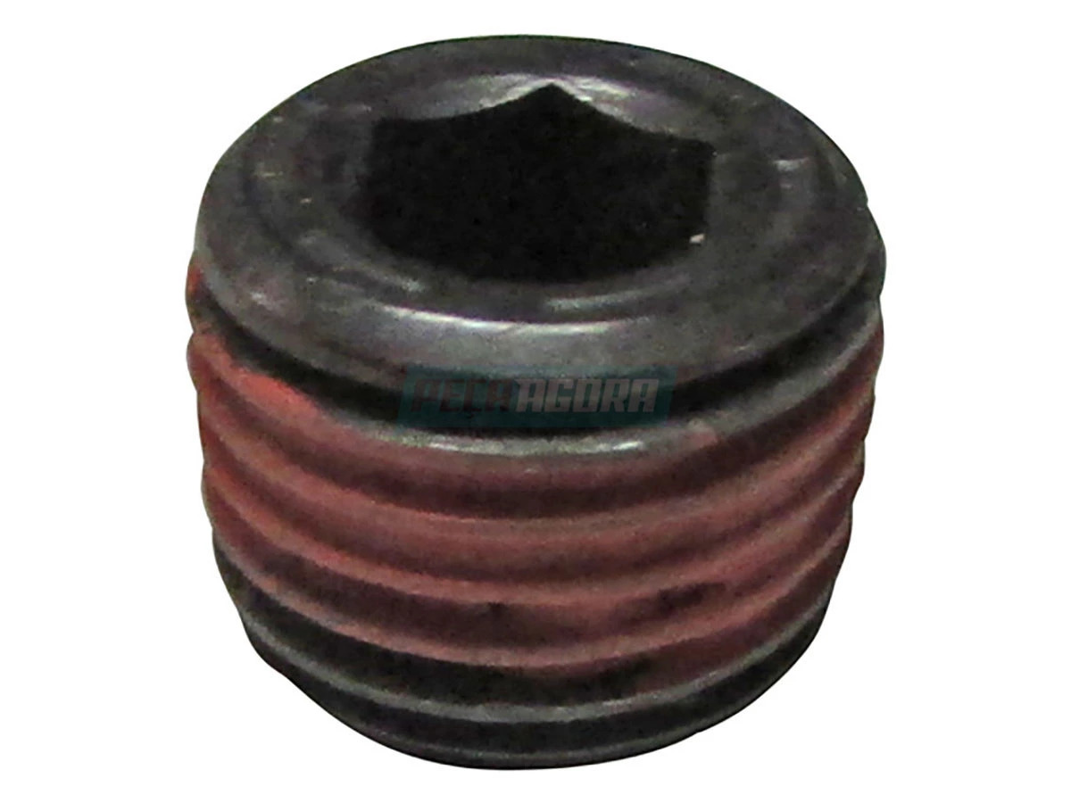 BUJAO DE ACO 2RJ301467 (2RJ301467)