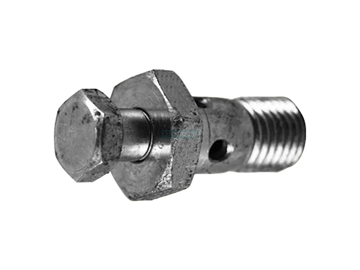 PARAFUSO BANJO N (2RK127697A.)