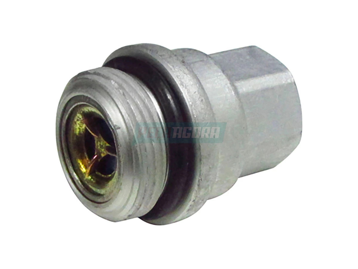 VALVULA 2RK130135 (2RK130135)