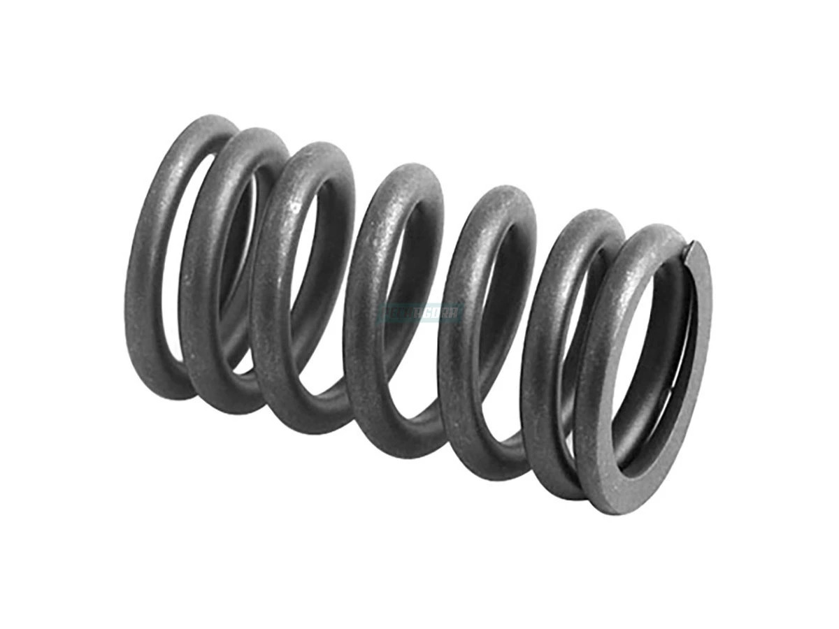 I MOLA DE VALVULA ADM MOTOR B (2RL109623A)