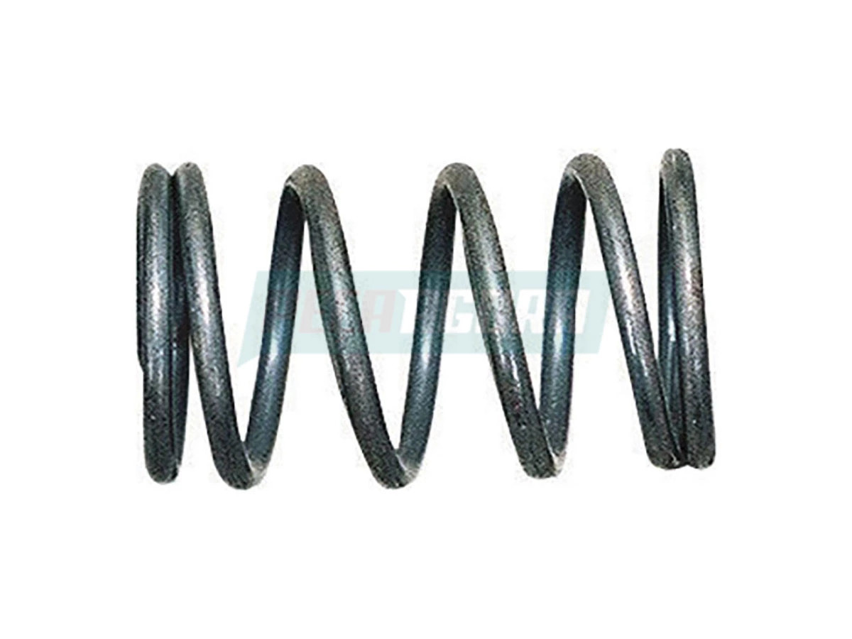 MOLA INTERNA ADMISSAO ESCAPE MOTOR MWM X10 E X12 VW 13180 15180 15180 15190 8150