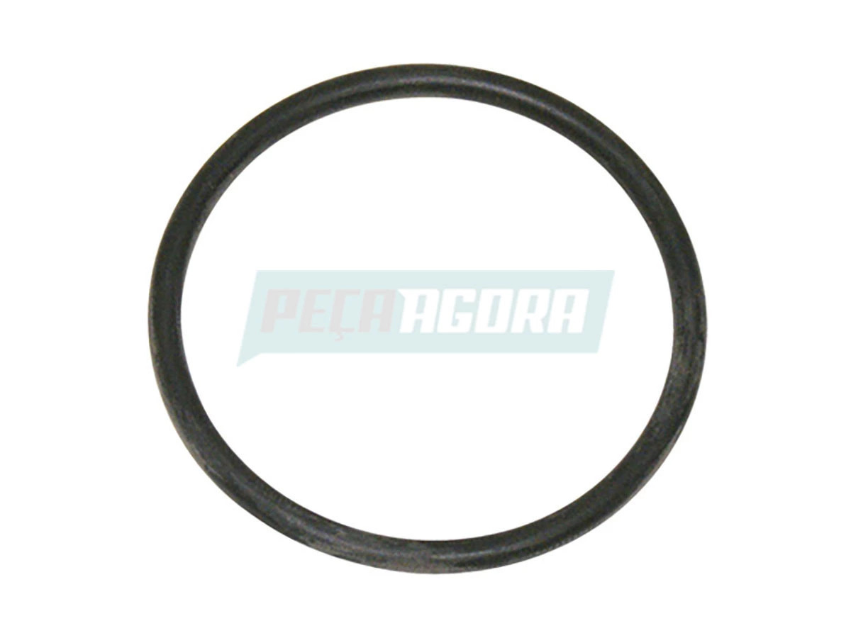 ANEL FILTRO AR 2RP129871 (2RP129871)