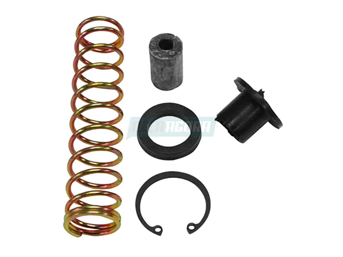 REPARO FREIO MOTOR COM MOLA COMPLETO (2RP298031AS)