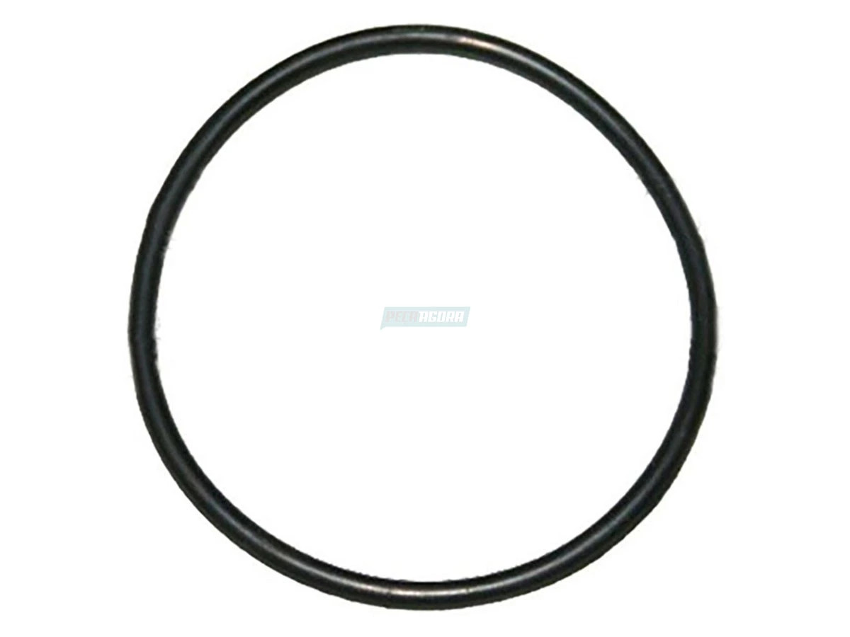 ANEL VEDACAO VW (2S0145187-9)