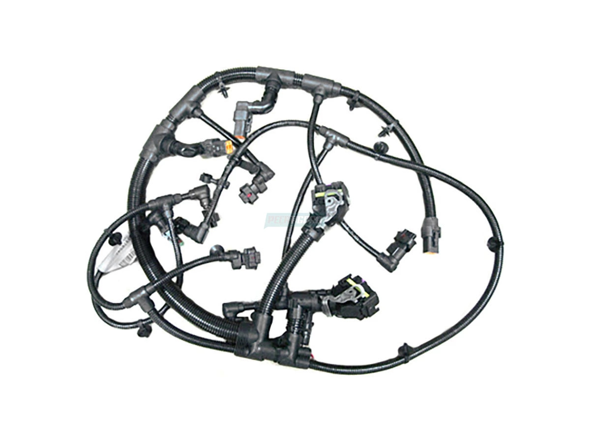 CHICOTE 2S0971079F (2S0971079F)