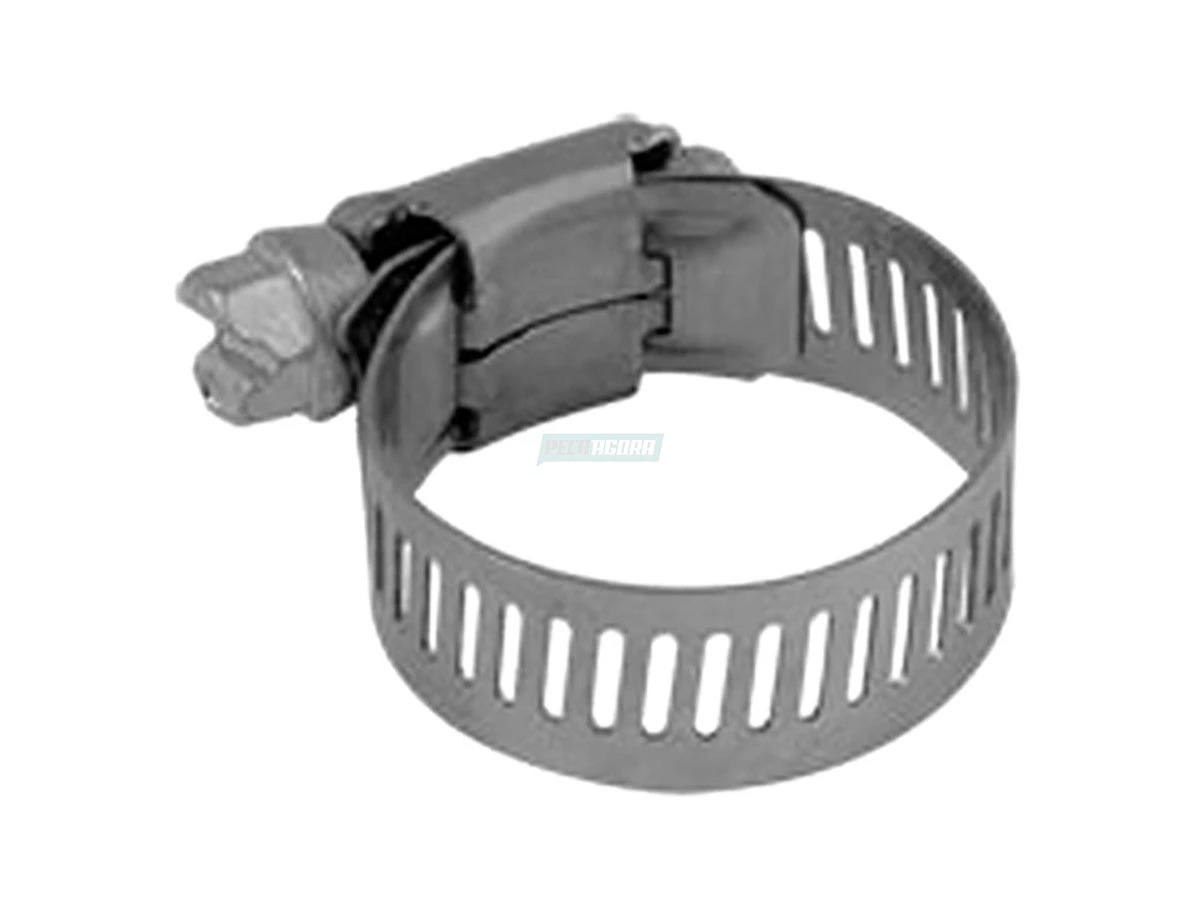 ABRACADEIRA DA MANGUEIRA (2T2130421)