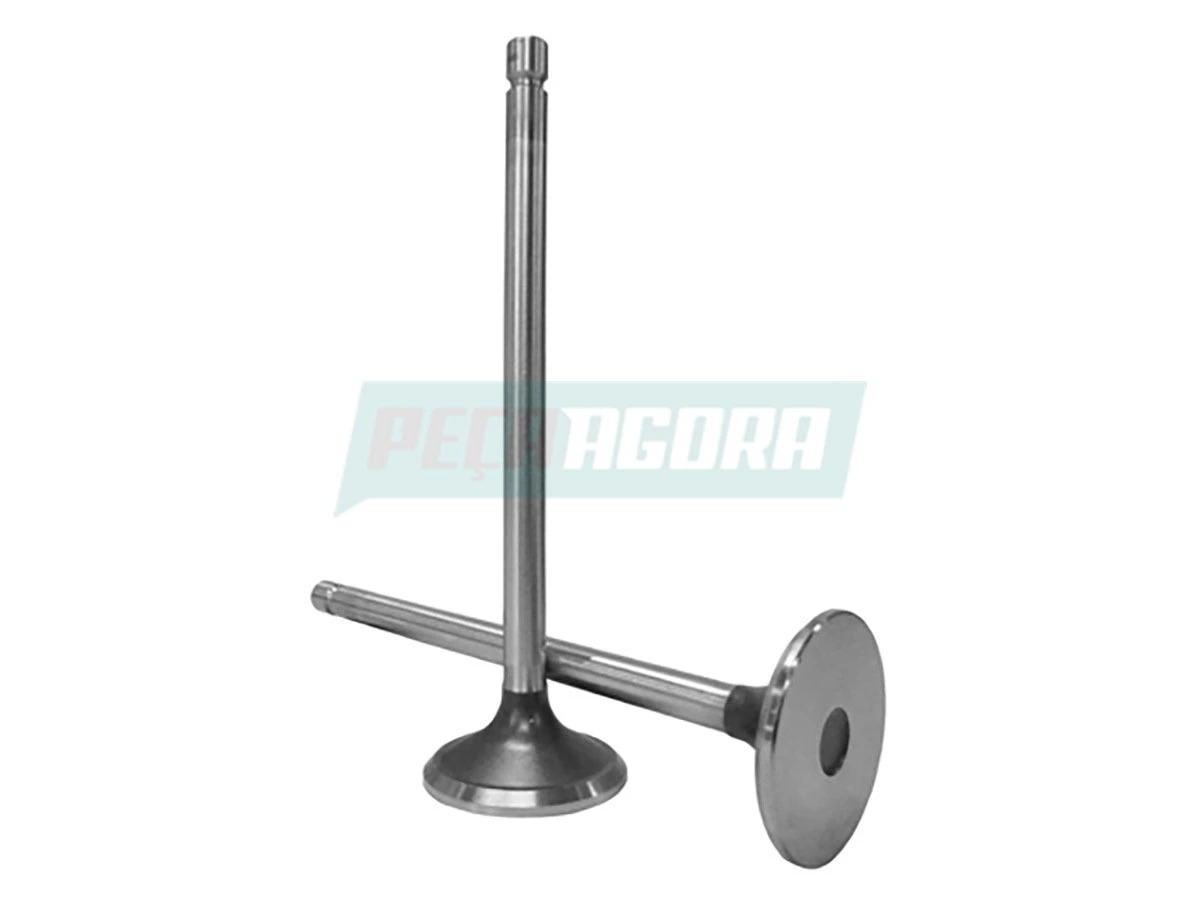 VALVULA ESCAPE MOTOR CUMMINS ISC SEM TRAVAS VW 19320 31320 17320 24320 25320 200