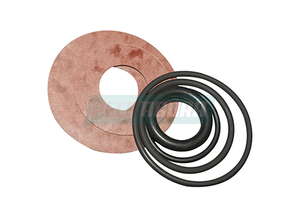 JOGO REPARO VALVULA CONSEP (2TB698807,)