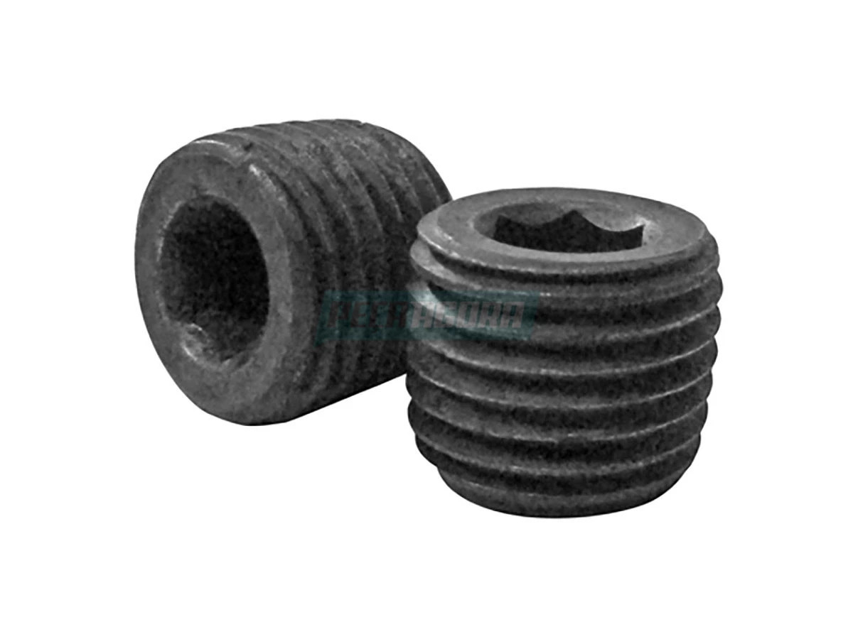 BUJAO ROSCADO DE ACO 2UU311409 (2UU311409)