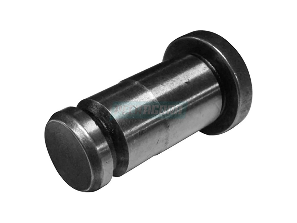 PINO ACO (2Z0301431)