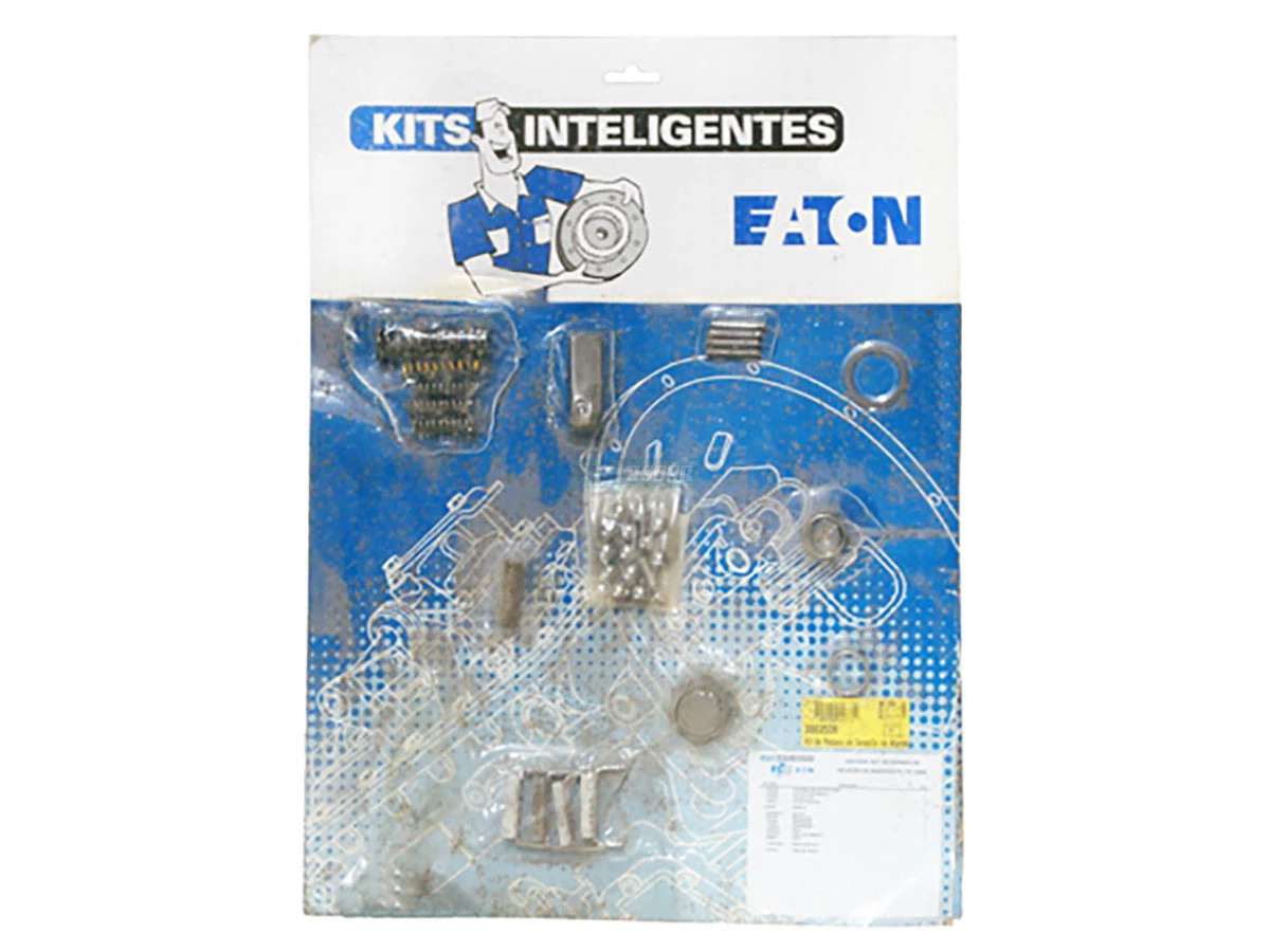 REPARO DE AJUSTE E VEDACAO FS5005 (3002507)