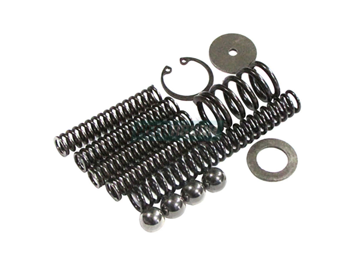 KIT DE MOLA DA TAMPA DE CONTROLE (3003825)