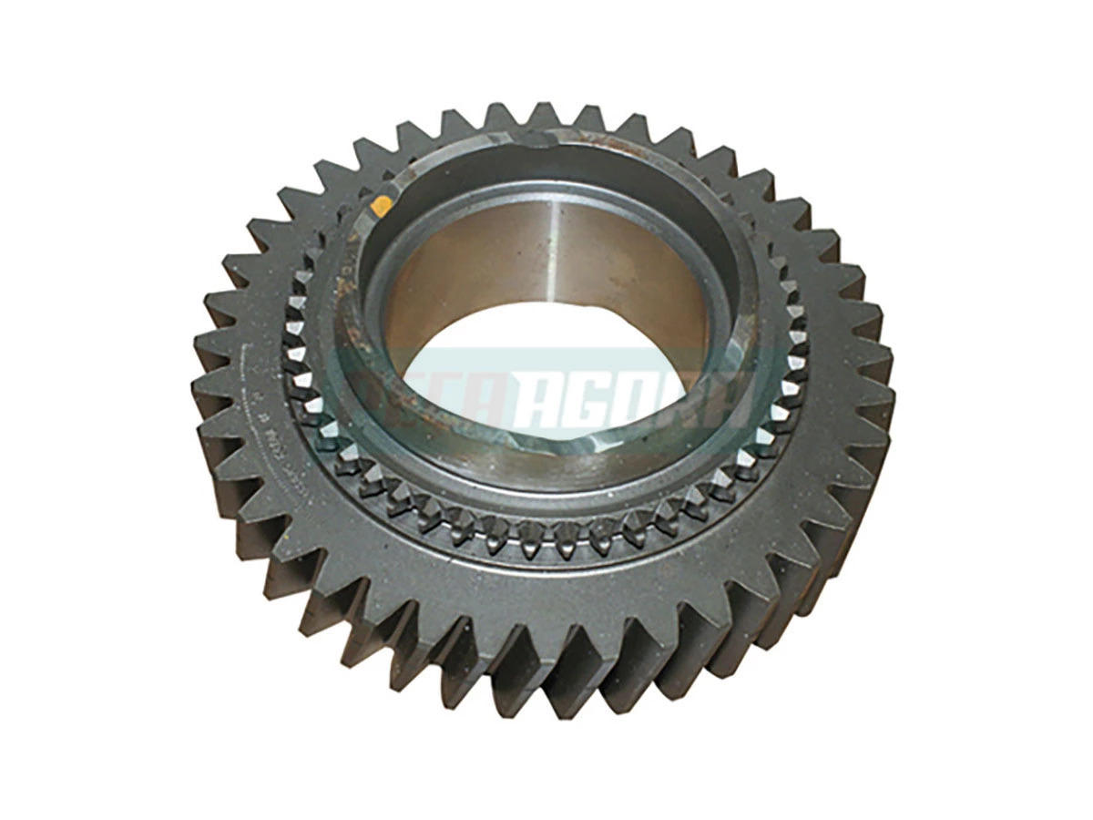 ENGRENAGEM DA RE (6010004175009.)