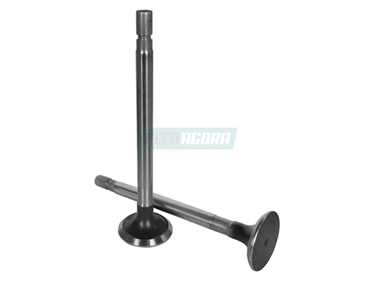 VALVULA ESCAPE OM352A-364 (3660500027,)