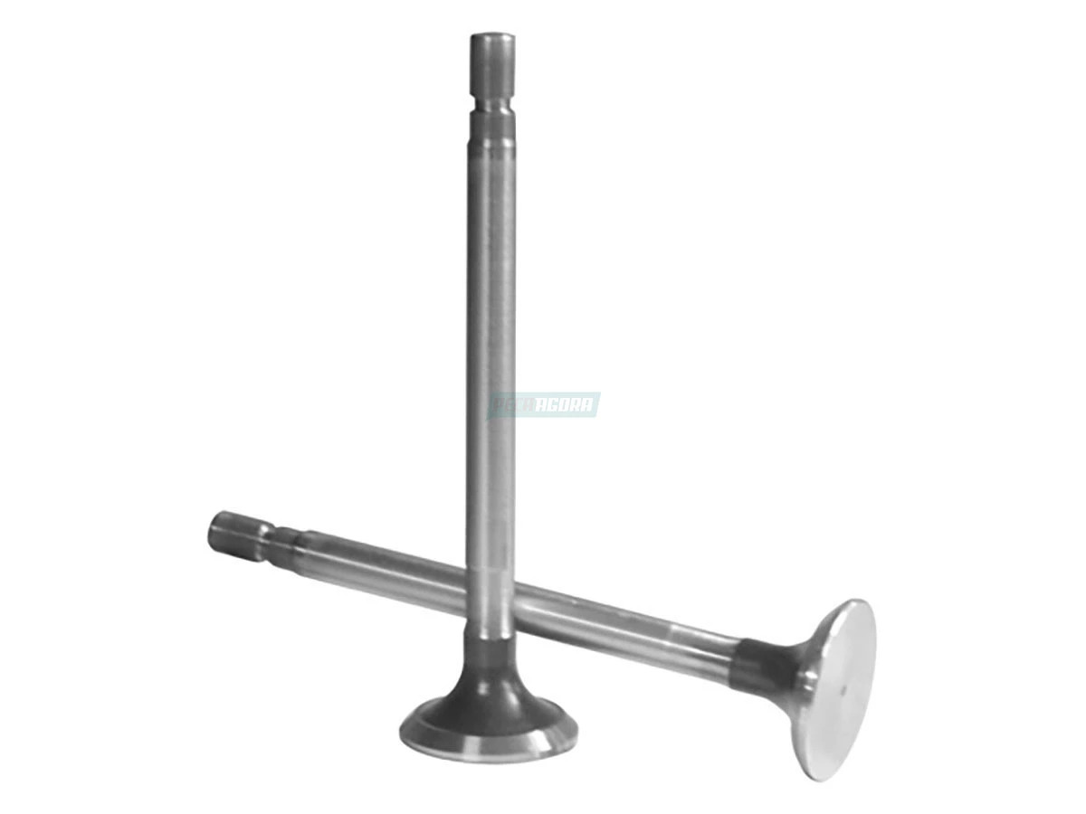 VALVULA ESCAPE OM364A-366A-352A 86-... (3660500227_)