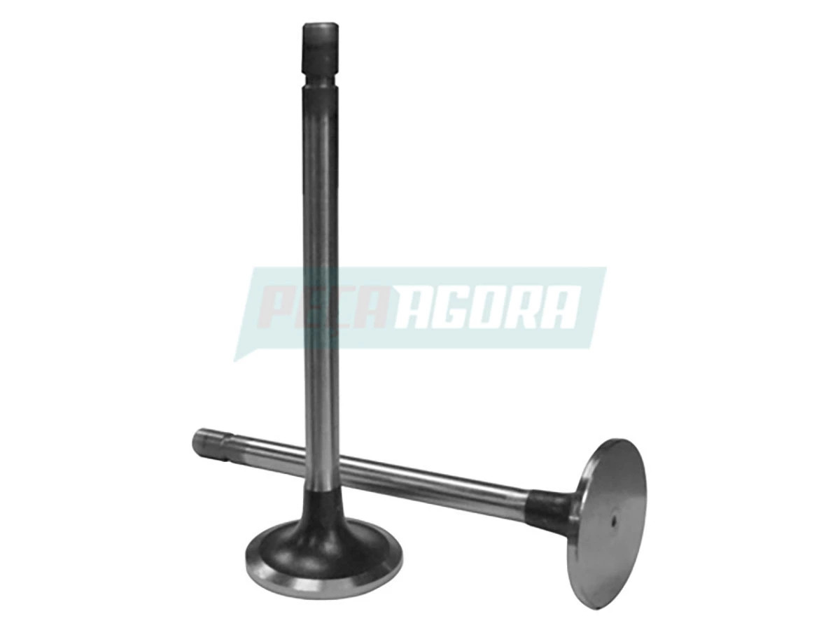 VALVULA ADMISSAO OM366LA 20 GRAUS (3660500726)