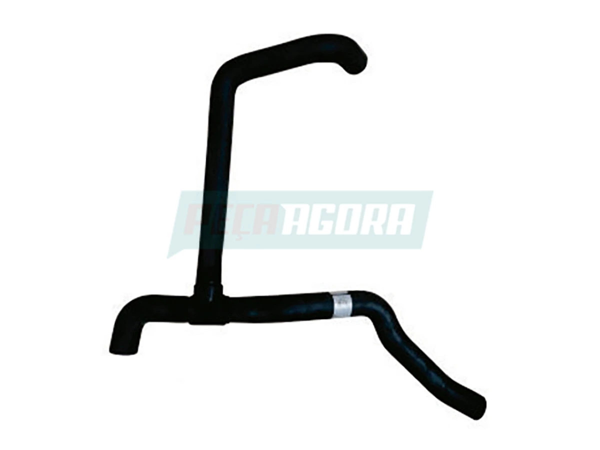 MANGUEIRA RAMIFICADA OF 1721 (3845014782_)