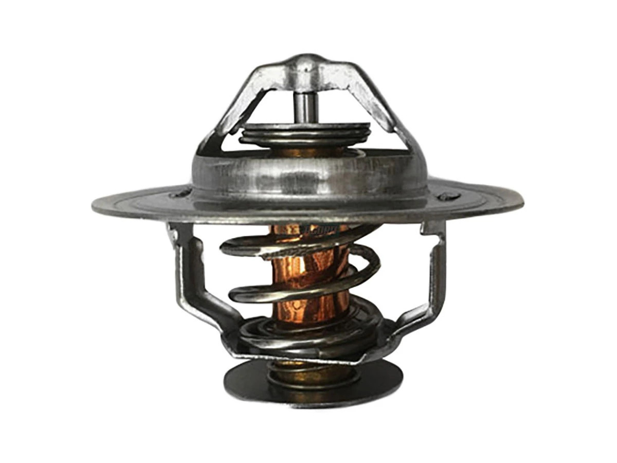 TERMOSTATO (3864178)