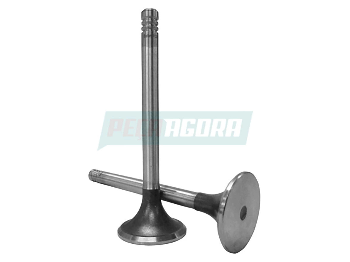 VALVULA ESCAPE (3873141)