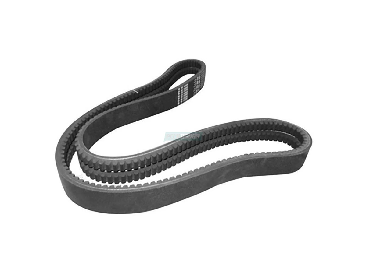 CORREIA 3911567 (3911567)