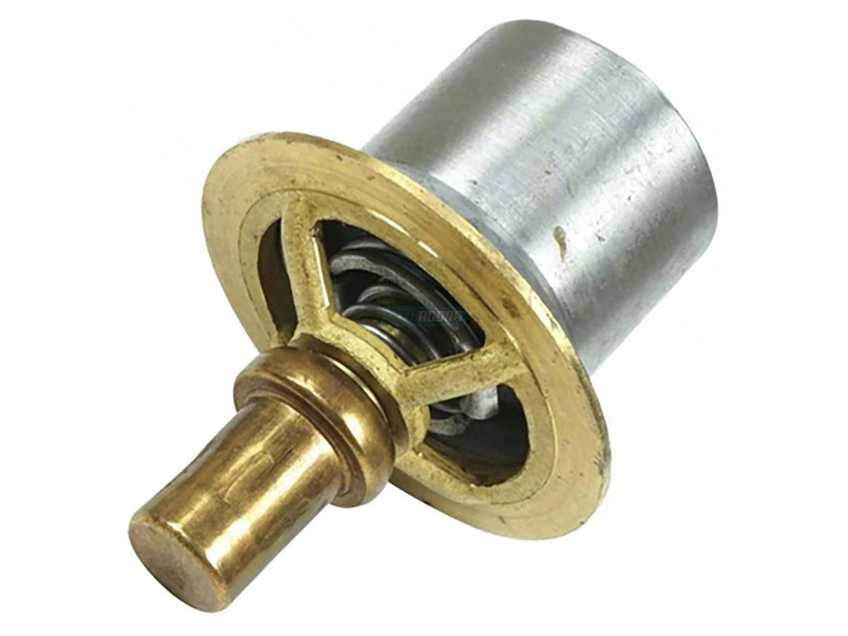 TERMOSTATO (3913028)