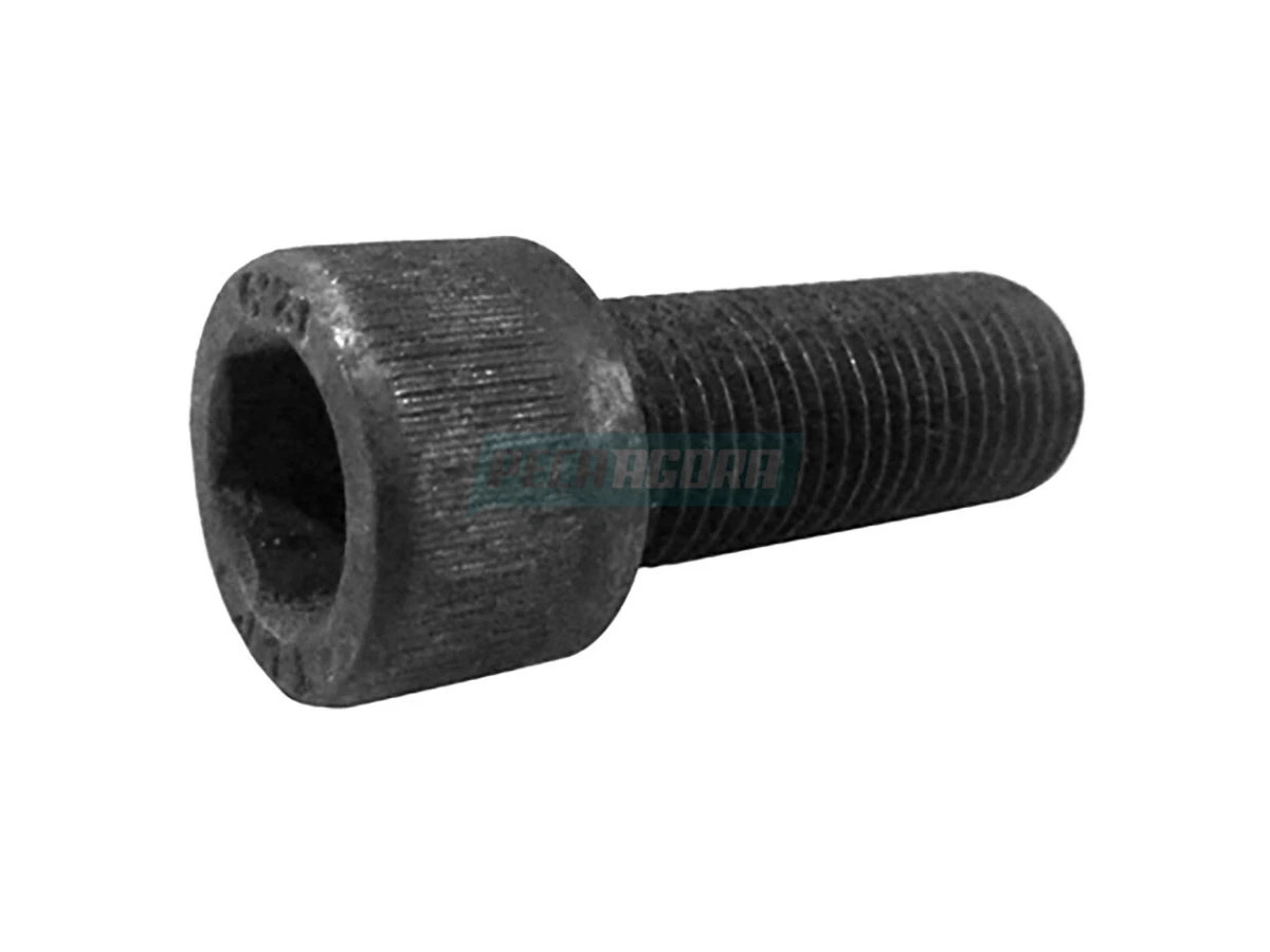 PARAFUSO PINCA FREIO VOLARE (4101038025039)