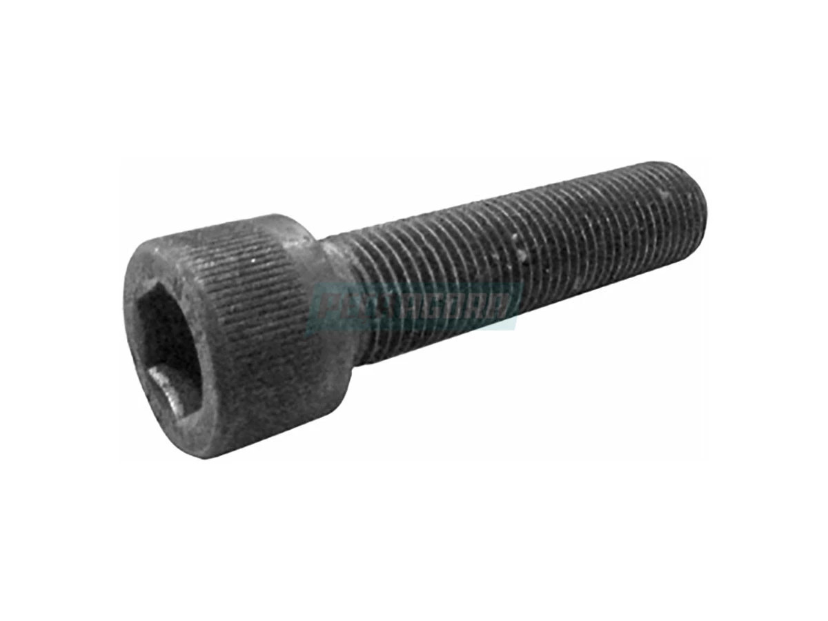 PARAFUSO PINCA FREIO VOLARE A5-A6 ATE 2004 (4101038026037)