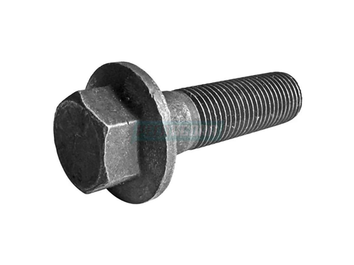 PARAFUSO (4101084054024)