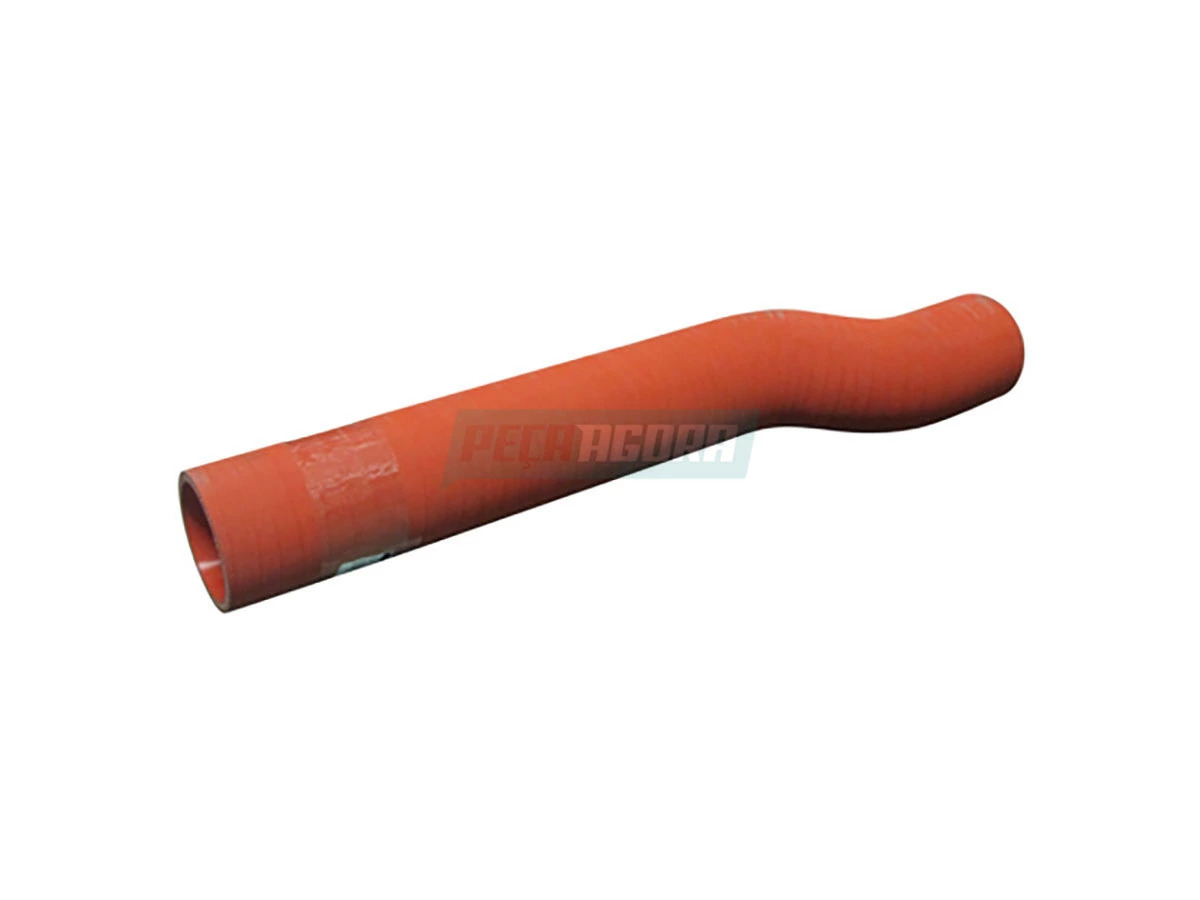 MANGUEIRA TURBO RADIADOR AFTE (6007001689008.)