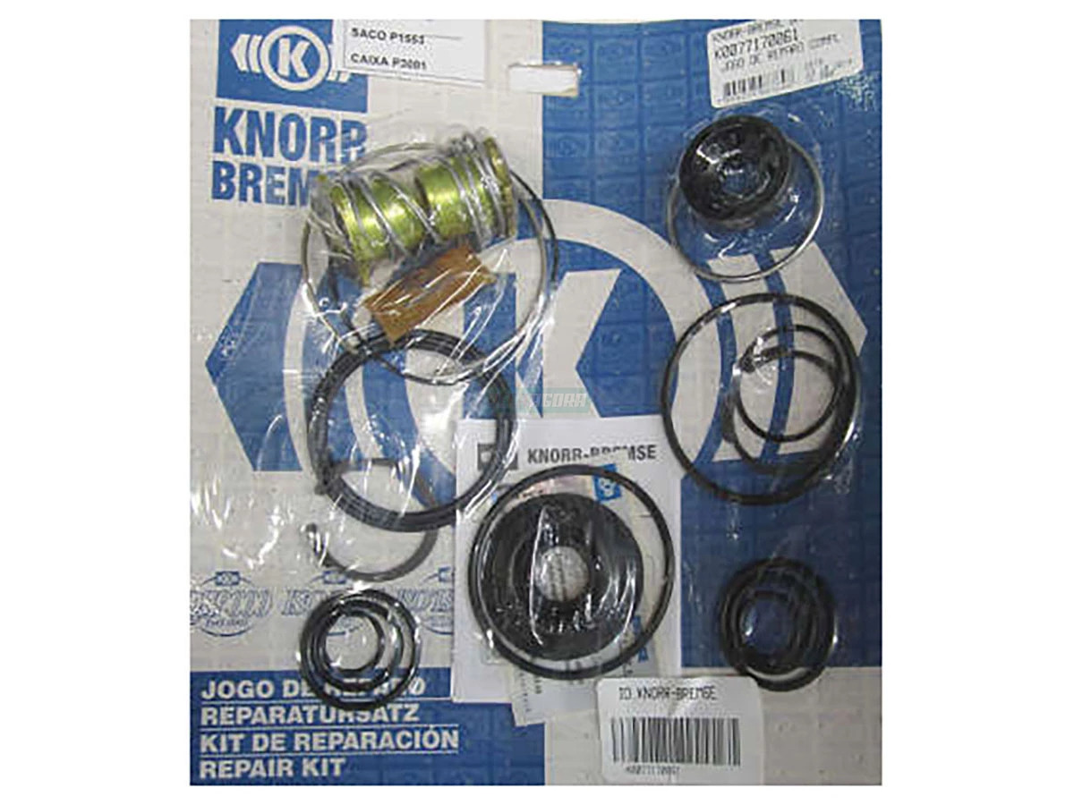 REPARO PARA VALVULA (6007005616007)