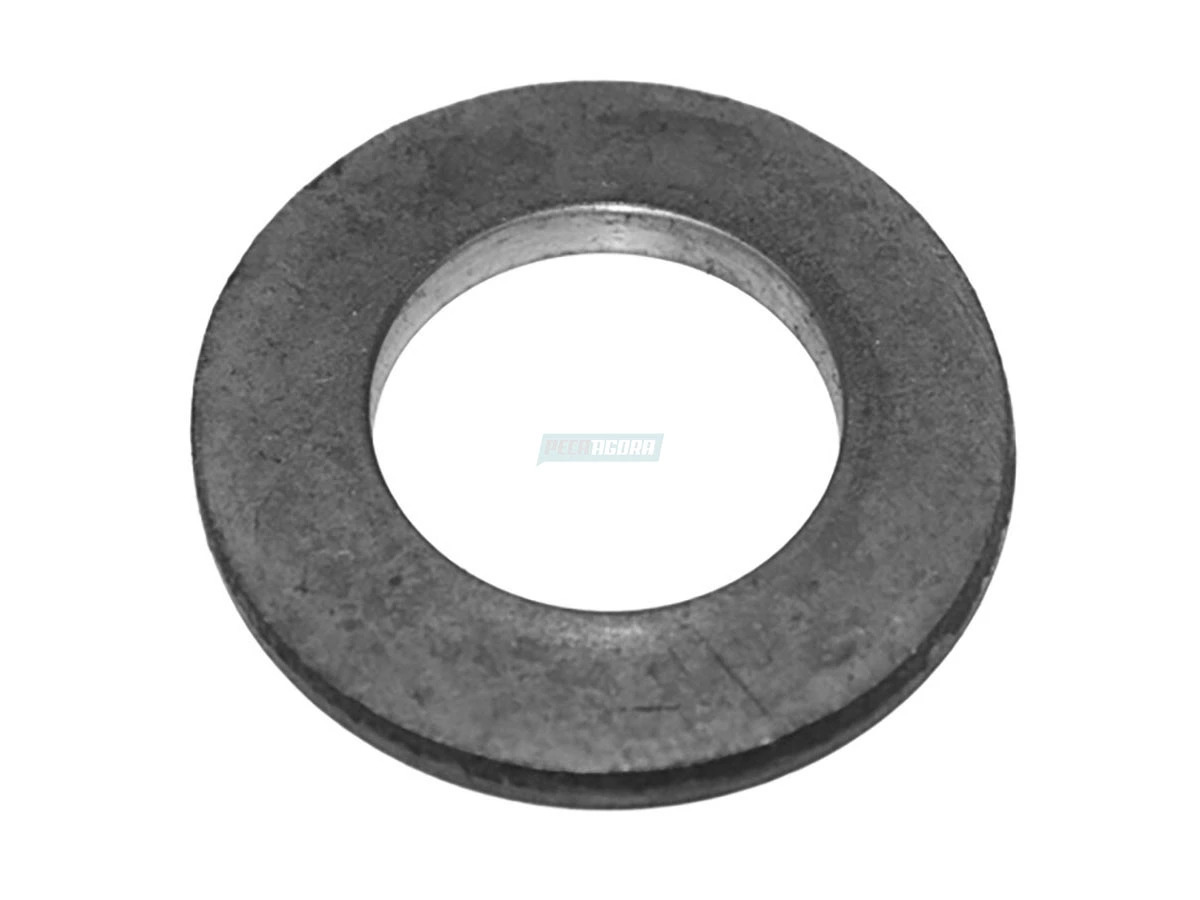 ARRUELA DO PINHAO DIFERENCIAL DANA AGRALE 6007009021006 (6007009021006)