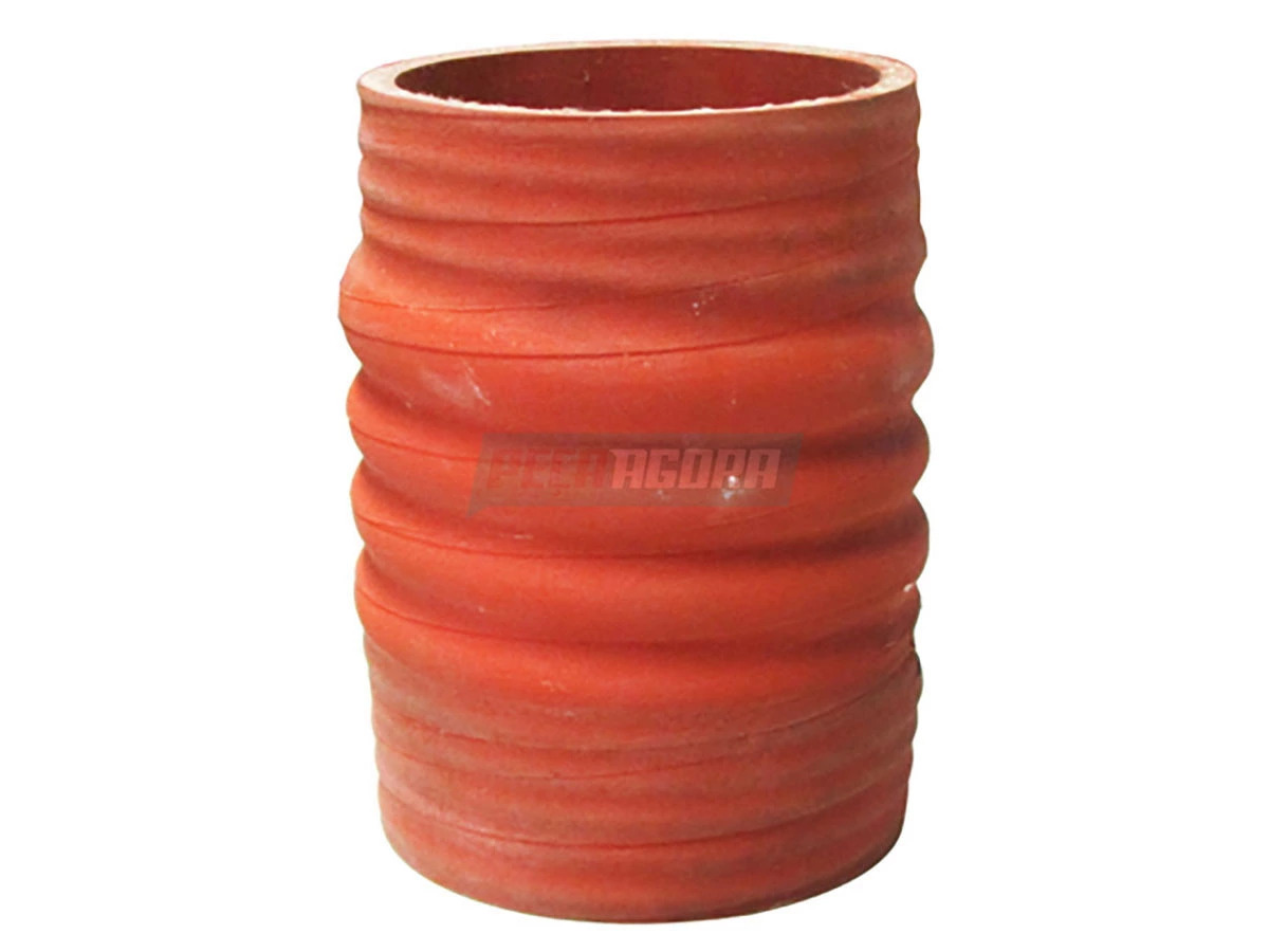 MANGUEIRA RADIADOR (6008001012001)