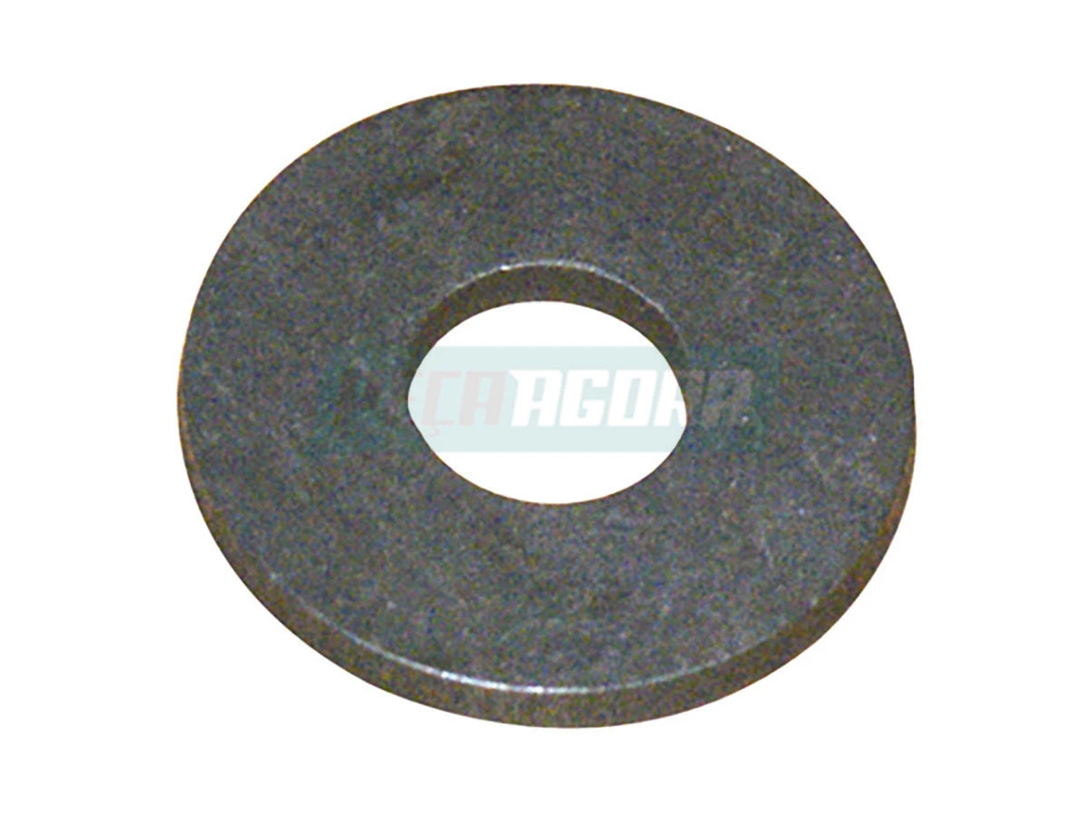 ARRUELA 6008001327003 (6008001327003)