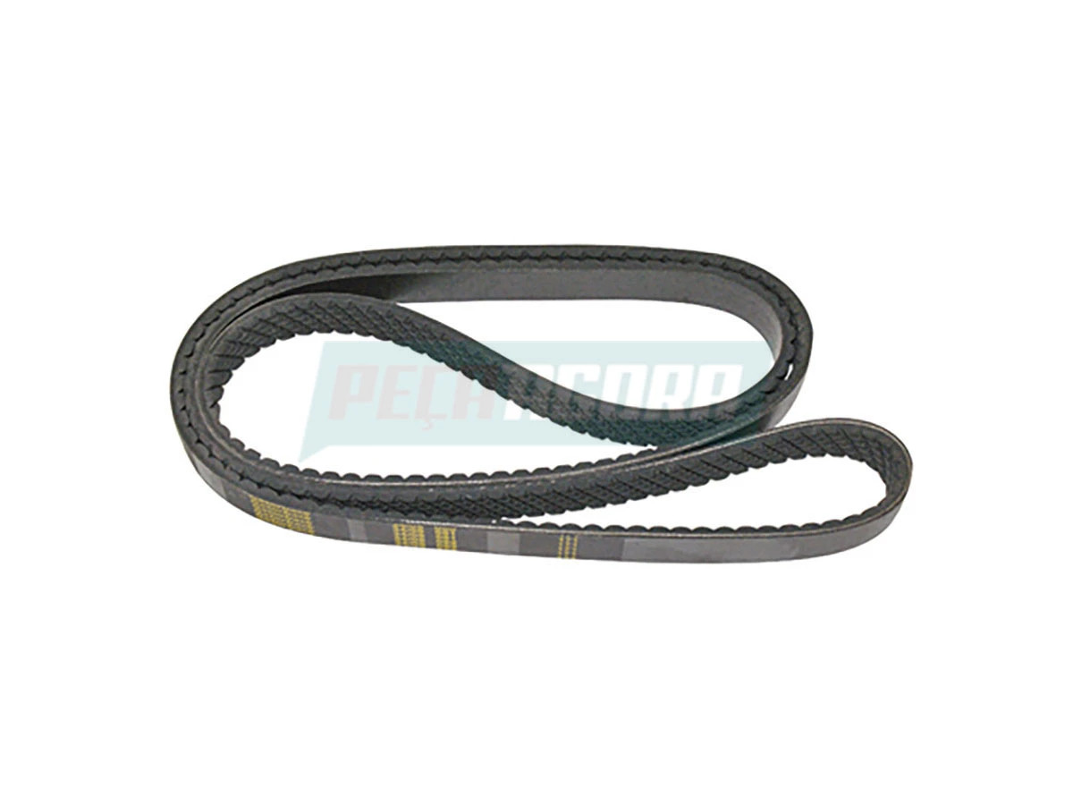 CORREIA 6008001594008 (6008001594008)