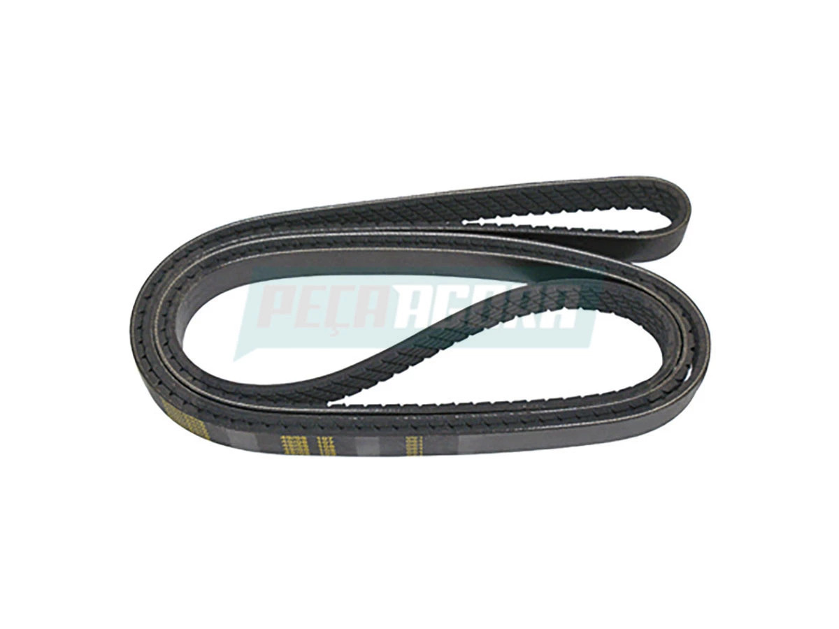 CORREIA 6008001608006 (6008001608006)