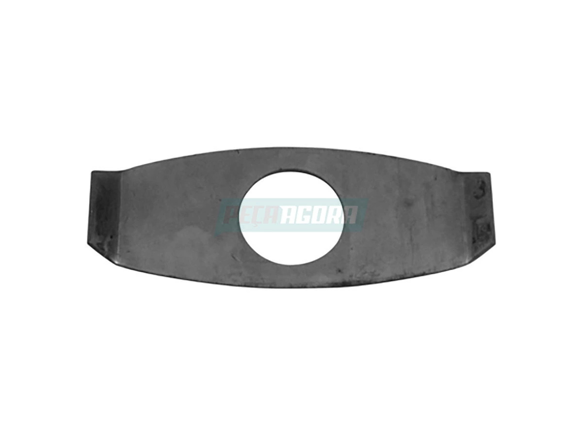 ARRUELA DO FREIO S W12 6012005057004 (6012005057004)