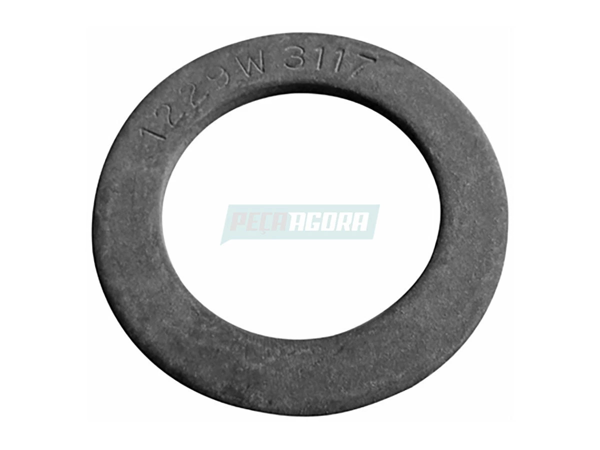 ARRUELA ENCOSTO EXTERNA EIXO S W12 6012005085005 (6012005085005)