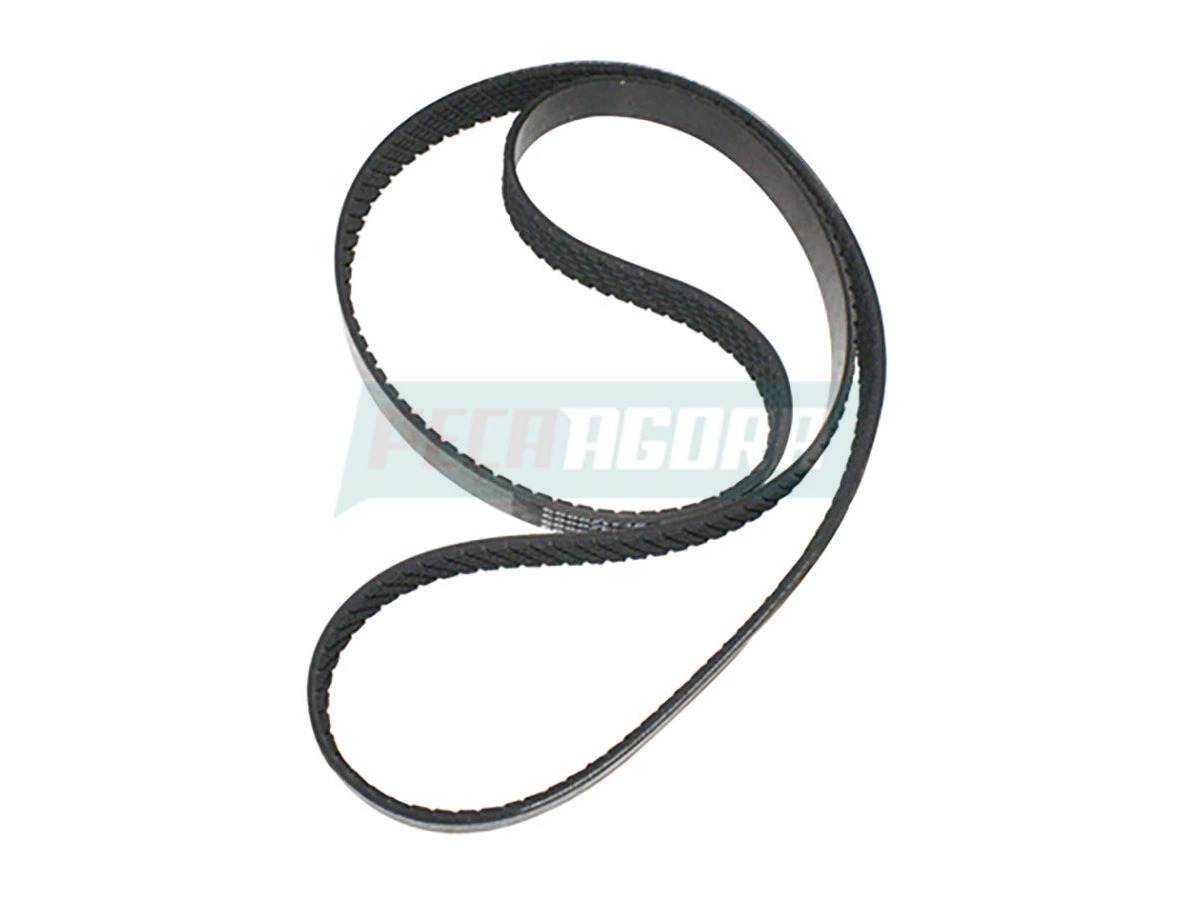 CORREIA 6013101163001 (6013101163001.)