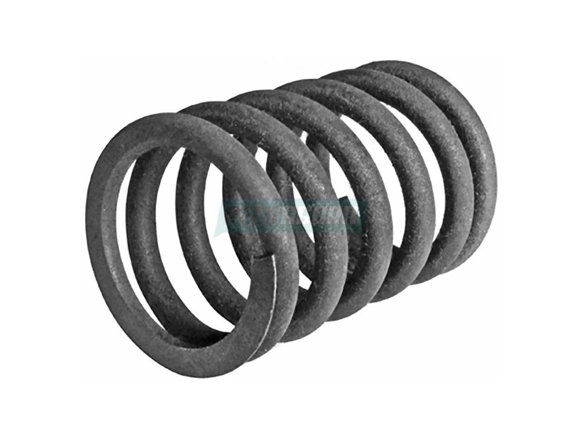 MOLA DAS VALVULAS AGRALE M90 AGRALE M90 (7006006008007)