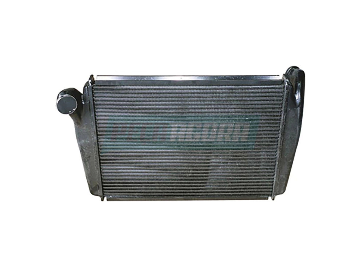 RAD. BR7 BR 10 BR12 INTERC. (8196008)