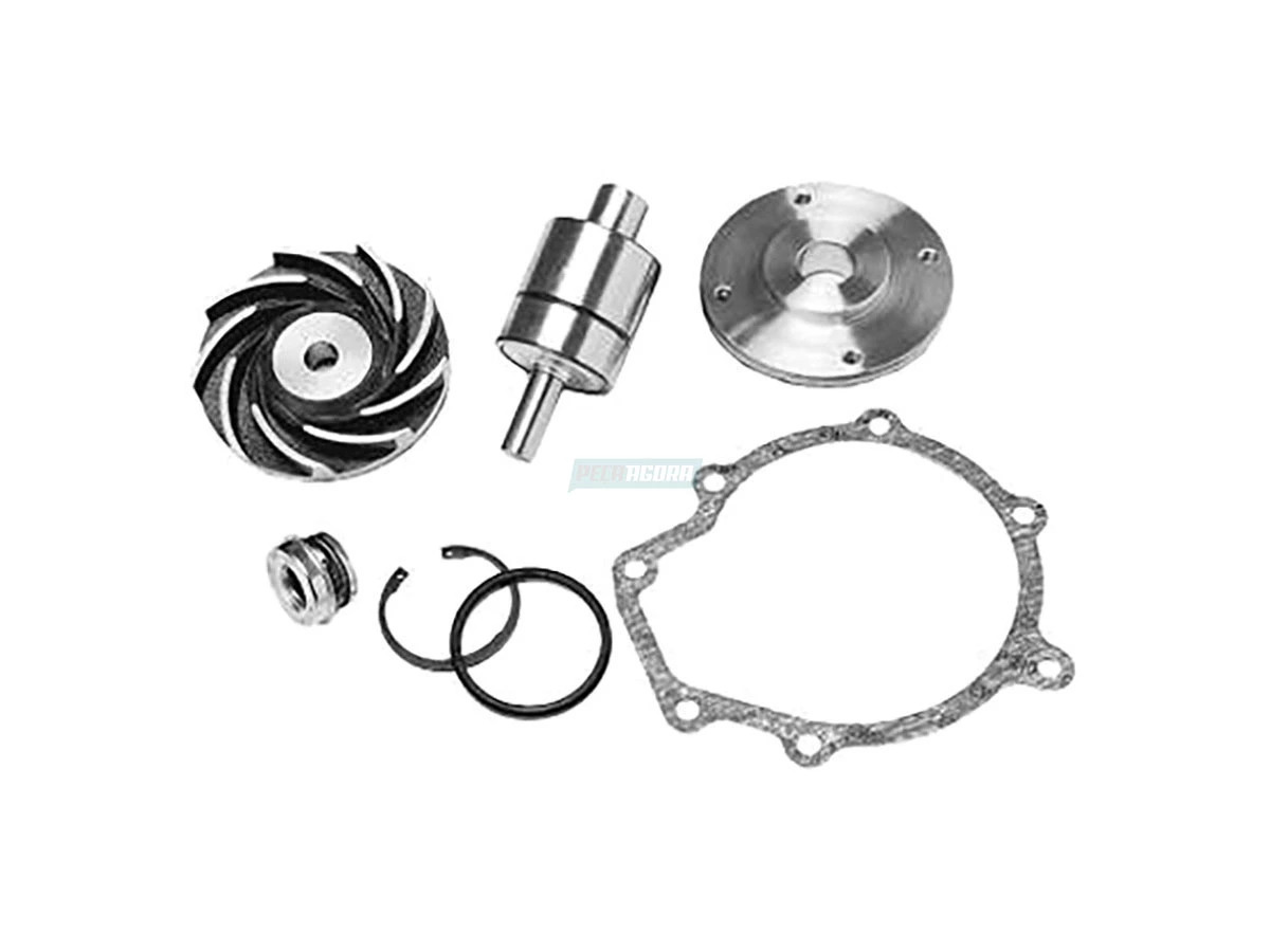 REPARO BOMBA AGUA OM904-906-924 (9042000004)