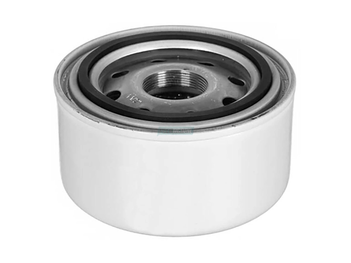 FILTRO LUBRIFICANTE (905411880018M)