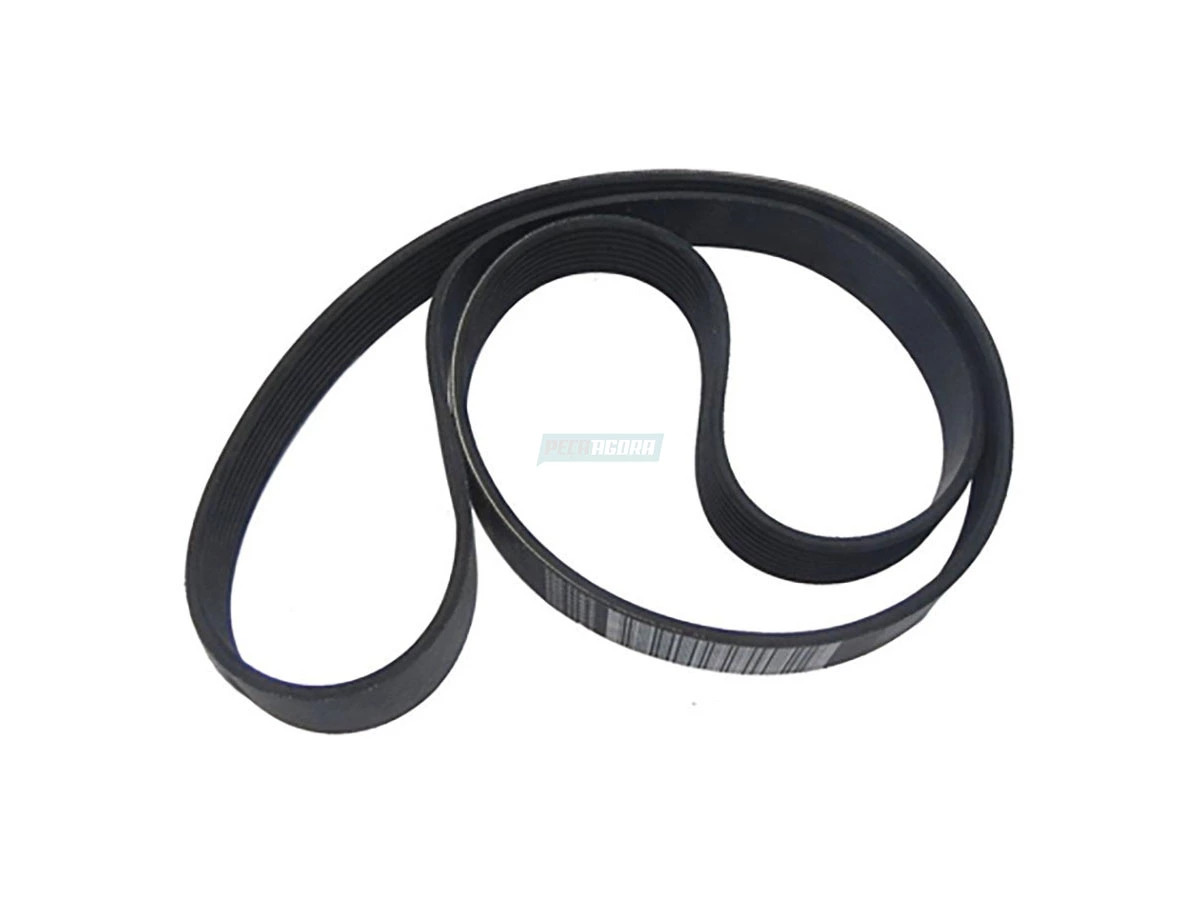 I CORREIA PITBUL (BF8X8620CA,)